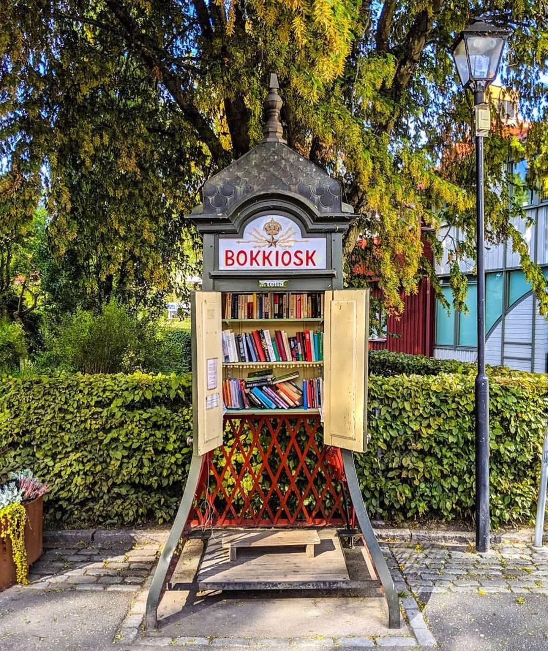 Book Review Image